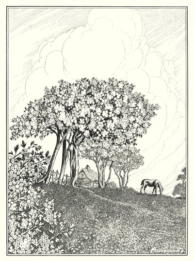 maio (litografia) de Horace J. Knowles