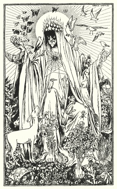 Pássaro-de-peito-vermelho (litografia) de Horace J. Knowles