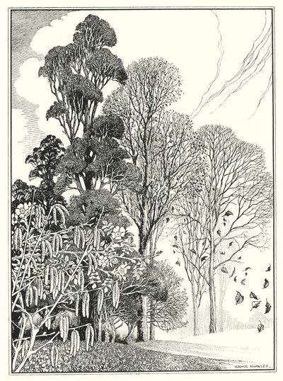 Os Meses (litografia) de Horace J. Knowles