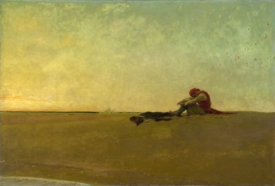 Marooned de Howard Pyle