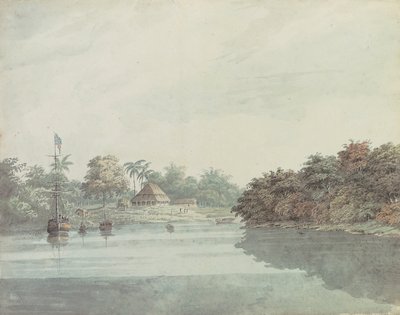 O periquito do Governador Geral no Ganges, Delta de Brahmaputra de Hubert Cornish