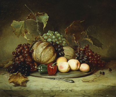 Ainda vida abundante, 1855 de Hugh Newell