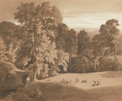 Parkland at Minto House (caneta e tinta e lavagem) de Hugh William Williams