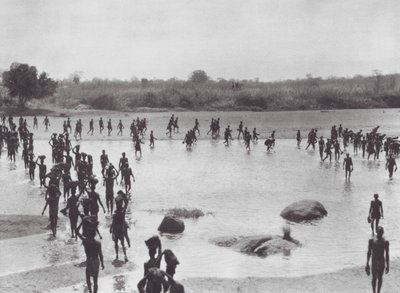 África: Morus a construir uma ponte perto de Amadi (fotografia a preto e branco) de Hugo Adolf Bernatzik