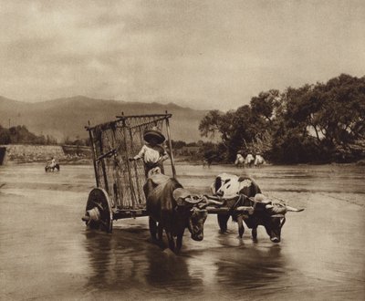 México: Carro de bois com rodas em forma de discos (fotografia a preto e branco) de Hugo Brehme