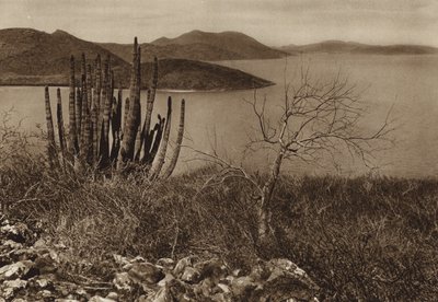 México: Perto da costa da Baixa Califórnia (fotografia a preto e branco) de Hugo Brehme