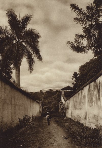 México: Cuernavaca, Rua que conduz à aldeia de San Antonio (Fotografia p/b) de Hugo Brehme
