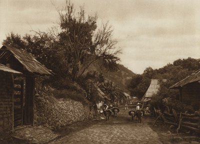 México: Os arredores de Uruapam (fotografia a preto e branco) de Hugo Brehme