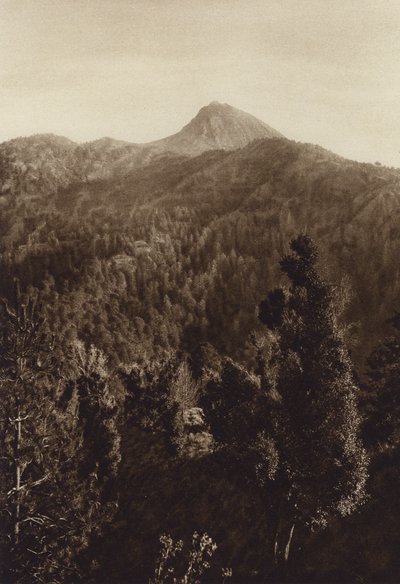 Mexico: Nevado de Colima, Vista parcial (b/w photo) de Hugo Brehme