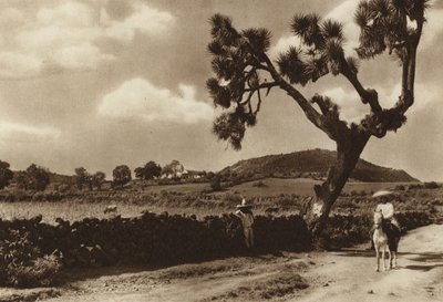 México: Patzcuaro, El Calvario, Estado de Michoacan (fotografia a preto e branco) de Hugo Brehme
