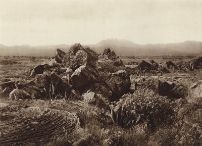 Mexico: Pedregal, Corriente de basalto-lava cerca de San Angel (b/w photo) de Hugo Brehme