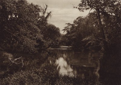 México: Tamasopo, Panorama del rio, Estado de Vera Cruz (fotografia a preto e branco) de Hugo Brehme