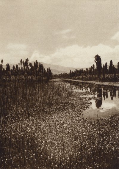 México: Xochimilco, um dos principais canais (fotografia a preto e branco) de Hugo Brehme
