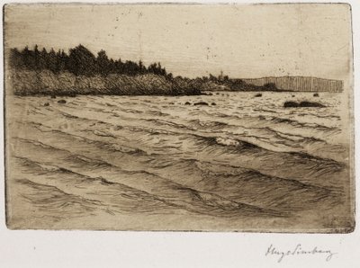 Ondas de verão de Hugo Simberg