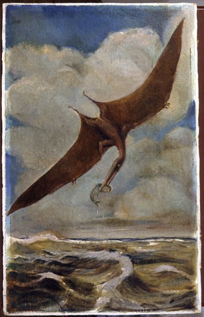 Um pterodáctilo. c.1880 (guache) de Hungarian School