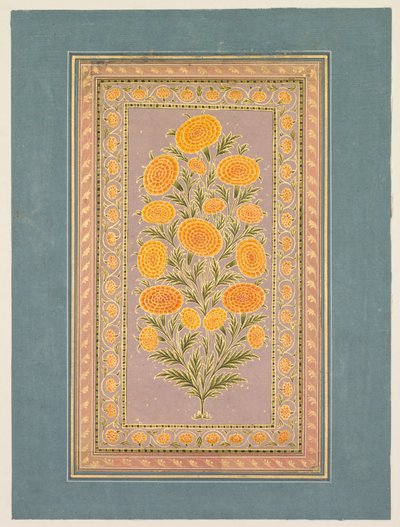 Flor de calêndula, c. 1765. de Hunhar II