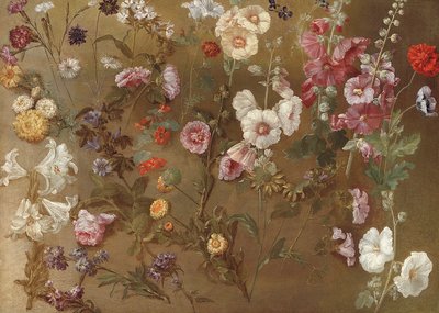 Composição de estudos de flores, incluindo cravos, flores de alfineteiro, aposta saltitante, malva; malvas-rosa, marigóis africanos, miosótis de Hyacinthe Francois Rigaud