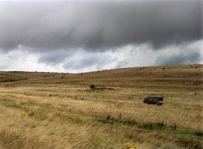 Barrow em Salisbury Plain, Wiltshire, 1999 de IJ Leonard