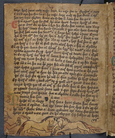 Horse Fight, de Heynesbok (O Livro de Heynes), 1ª metade do século XVI de Icelandic School