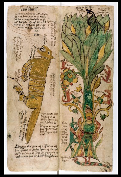 O lobo Fenrir e o mundo-árvore Yggdrasil, 1680 de Icelandic School
