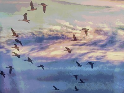 Céu ao Pôr do Sol com Gansos em Voo de Ida Publishing