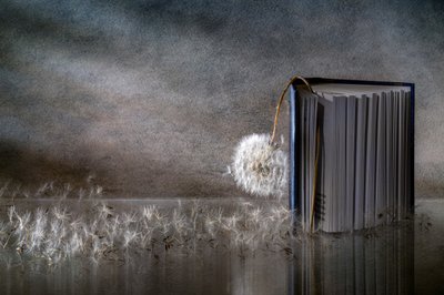  de Igor Kopcev