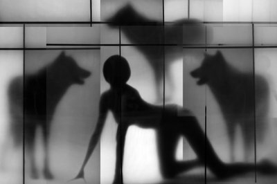 Sombras de Mulher e Lobo de Igor Shrayer