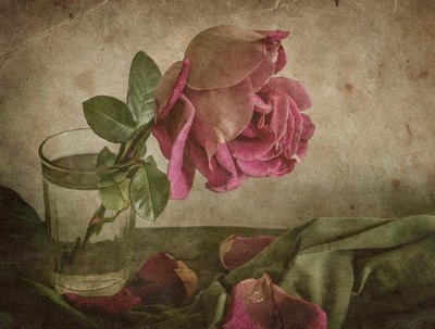 Natureza morta com rosa murcha de Igor Tokarev
