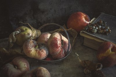 Fruta de Outono Melancólica de Igor Tokarev