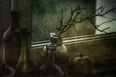 Garrafas de Natureza Morta da Moody de Igor Tokarev