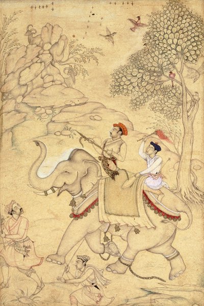 Uma caça ao príncipe, montada em um elefante, c.1600-1650 de Indian School