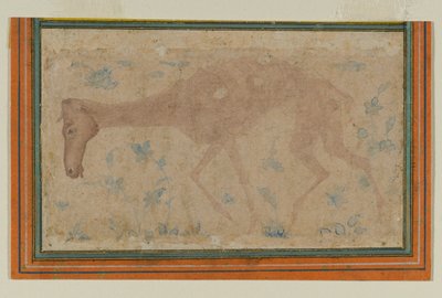 Um Cavalo Emaciado, de Mughal ou Deccan, meados do século XVII (tinta e lavagem a cores sobre papel) de Indian School