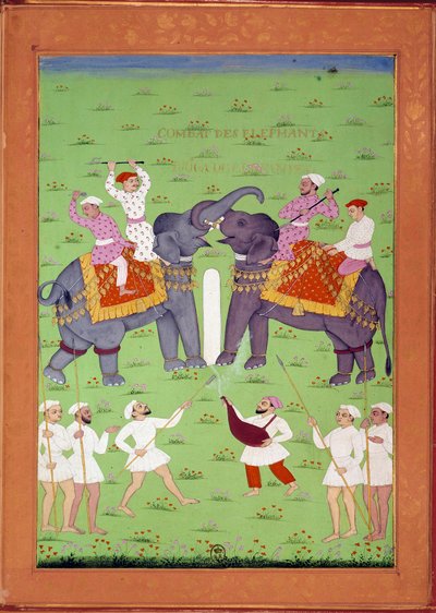 Batalha de dois elefantes na corte do Shah Alem miniaturas indianas e persas em "História da Índia de Tamertante a Orangreyb" de Niccolo Manucci (1638-1717). B.N., Paris. de Indian School