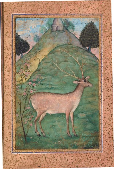 Buck em uma paisagem, c.1595 (wc opaca e ouro no papel) de Indian School