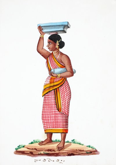 Pedra de transporte (wc no papel) de Indian School