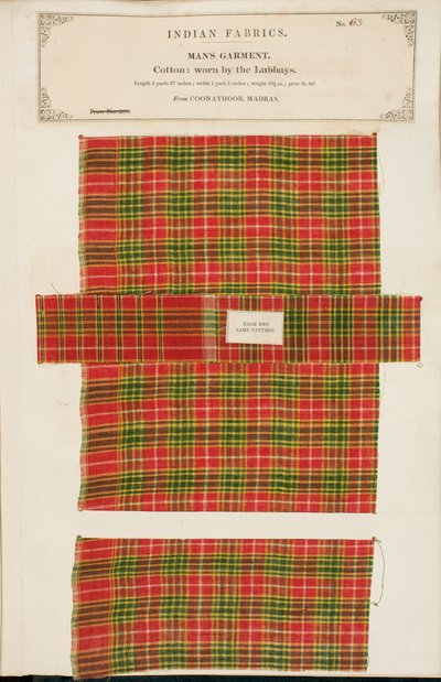 Amostra de algodão de Coonathoor em Madras, da Coleção de Fabricantes Têxteis da Índia, de John Forbes Watson, publicada em 1866 de Indian School