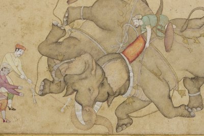 Detalhe de um combate de elefantes, com arabesco floral de fronteira, c.1610 (wc opaco e ouro sobre papel) de Indian School