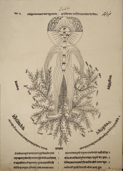 Diagrama mostrando pontos meridianos no corpo humano de Indian School