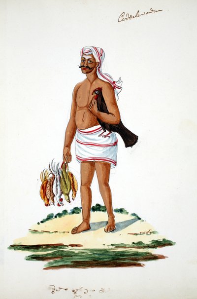 Agricultor com galinhas (wc no papel) de Indian School