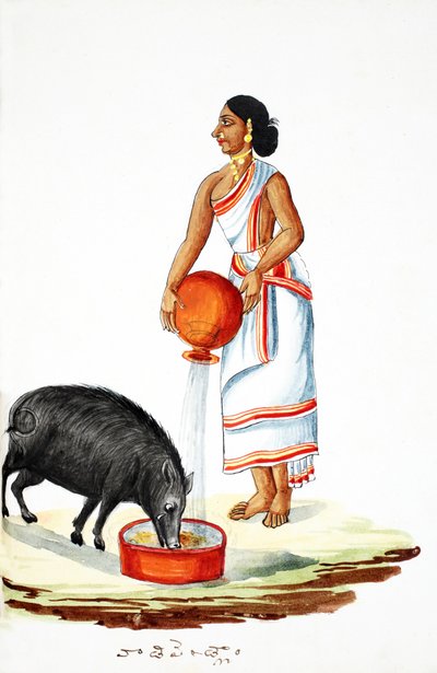 Alimentando um porco selvagem (wc no papel) de Indian School