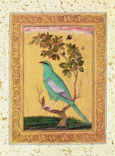 Pássaro verde, Mughal de Indian School