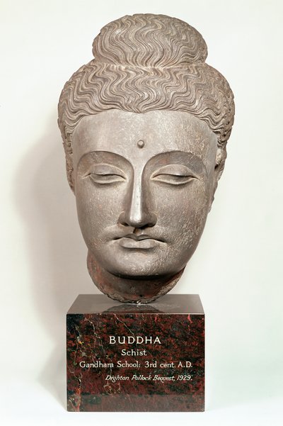 Cabeça de uma estátua do Buda, de Gandhara, noroeste da Índia (cinza xisto) de Indian School