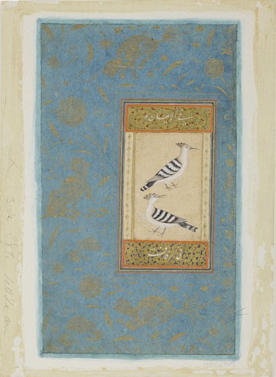 Hoopoes, c.1590 (wc opaca e ouro no papel) de Indian School