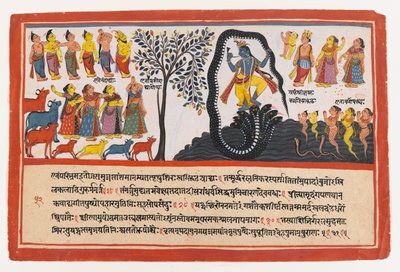 Krishna Conquista a Serpente Kaliya, página de uma Série Bhagavata Purana Dispersa, c.1775 (wc opaca e ouro sobre papel) de Indian School