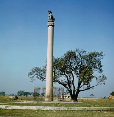 Pilar Leão do Imperador Ashoka (c.264-223 aC) de Indian School