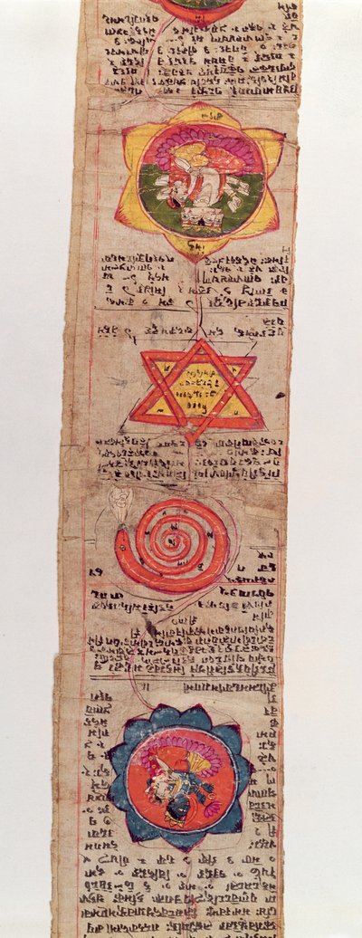 Ms Sanskrit 1804 manuscrito médico sânscrito de Indian School