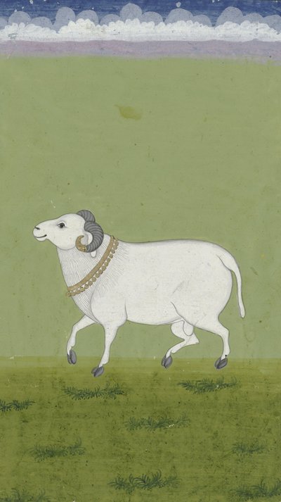 Ram com coleira dourada, 1700-1799 de Indian School