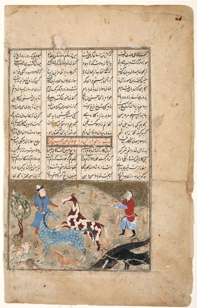 Rustam pega seu cavalo Rakhsh, c.1480 (wc opaca e ouro no papel) de Indian School