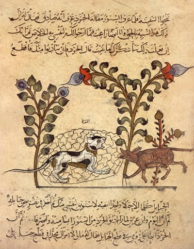 O gato e o rato, miniatura árabe de "Kalila va dimna" de Indian School