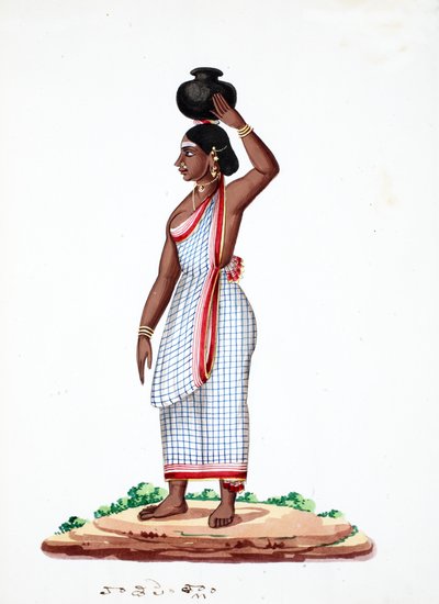 Portador de água (wc no papel) de Indian School